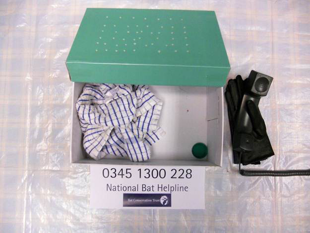 Exmaple Bat Care Box